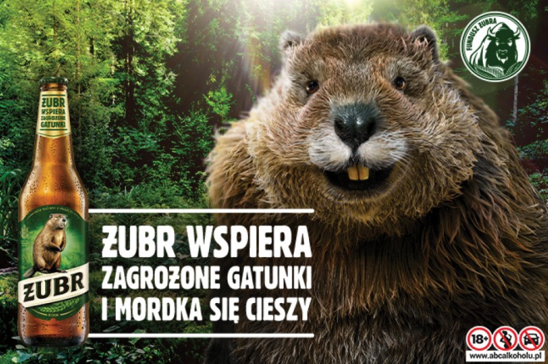 Milion złotych na zagrożone gatunki