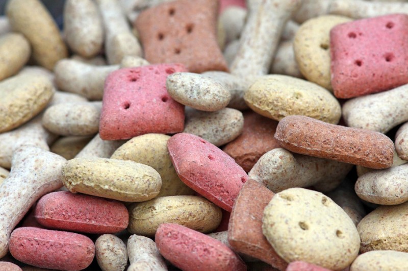 Dynamiczny wzrost rynku karmy dla zwierząt