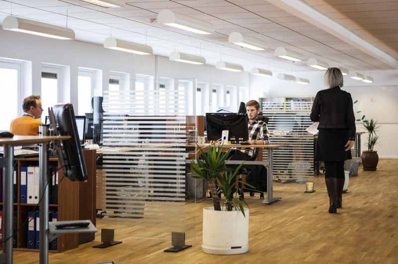 Praktyka ponad dyplomem? Przedsiębiorcy MŚP stawiają na doświadczenie