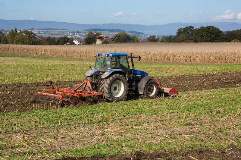 Rolnikom trudno utrzymać opłacalność produkcji
