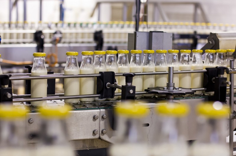 Polscy przetwórcy mleka chcą silniejszego głosu w UE. Kluczowa rola European Dairy Association