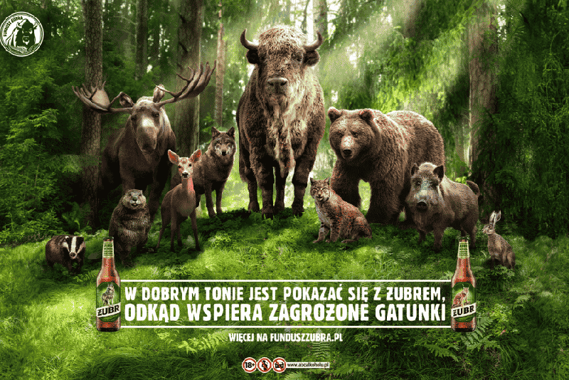W dobrym tonie jest pokazać się z Żubrem, odkąd wspiera zagrożone gatunki. Ruszyła nowa kampania marki 
