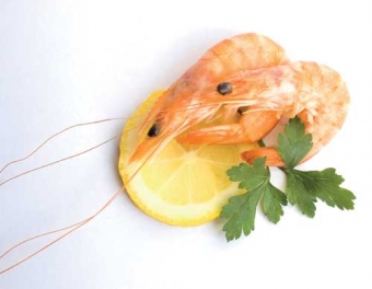 Frutti i mare
