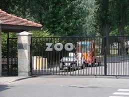 Dzień Dziecka z Müller w warszawskim Zoo