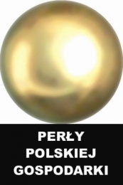 NAVO Perłą Polskiej Gospodarki