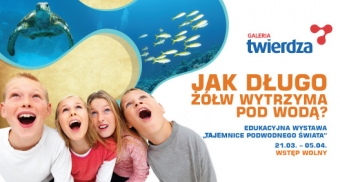 Odkryj Tajemnice Podwodnego Świata 