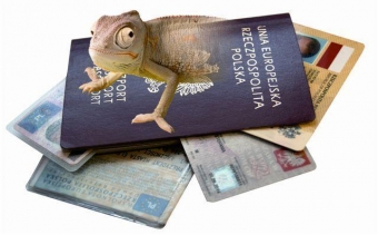 Jesienne sposoby na walkę z fałszerzami