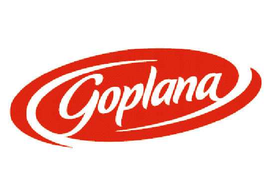 Prestiżowy tytuł „Produkt Roku 2007” dla Goplany