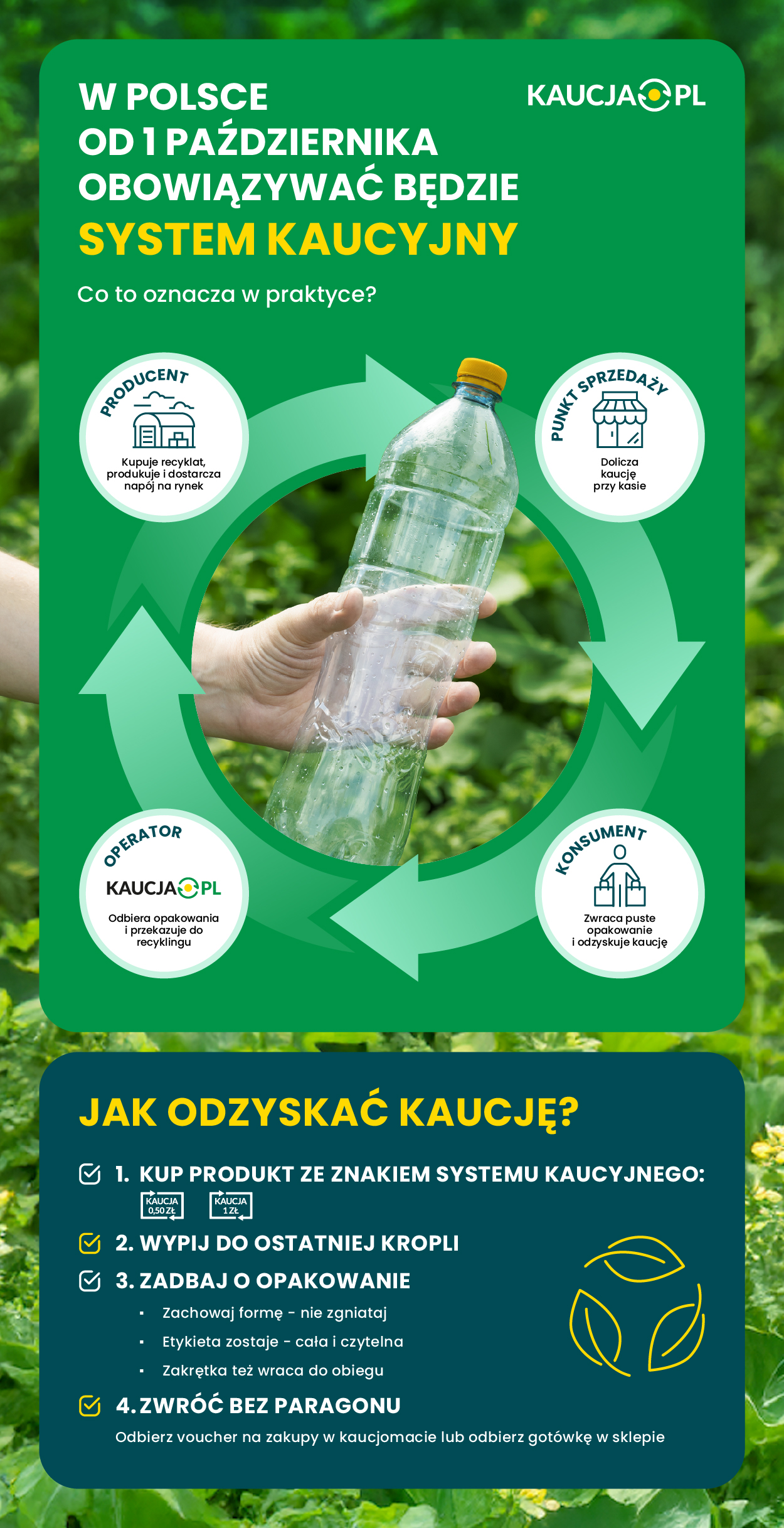 63374___infografika_2.jpg