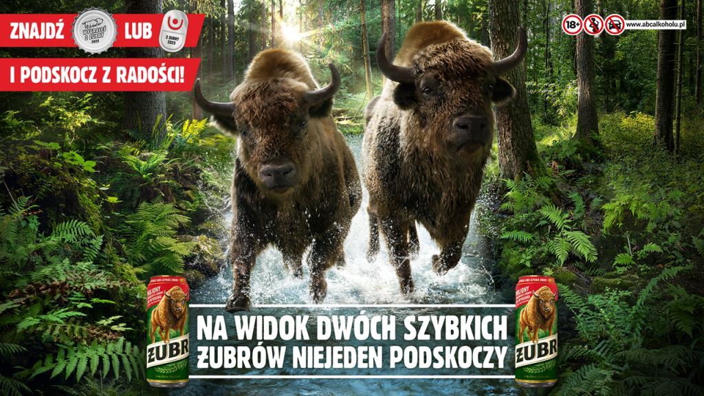 ŻUBR_KV_UTC_2025_poziom_1.jpg