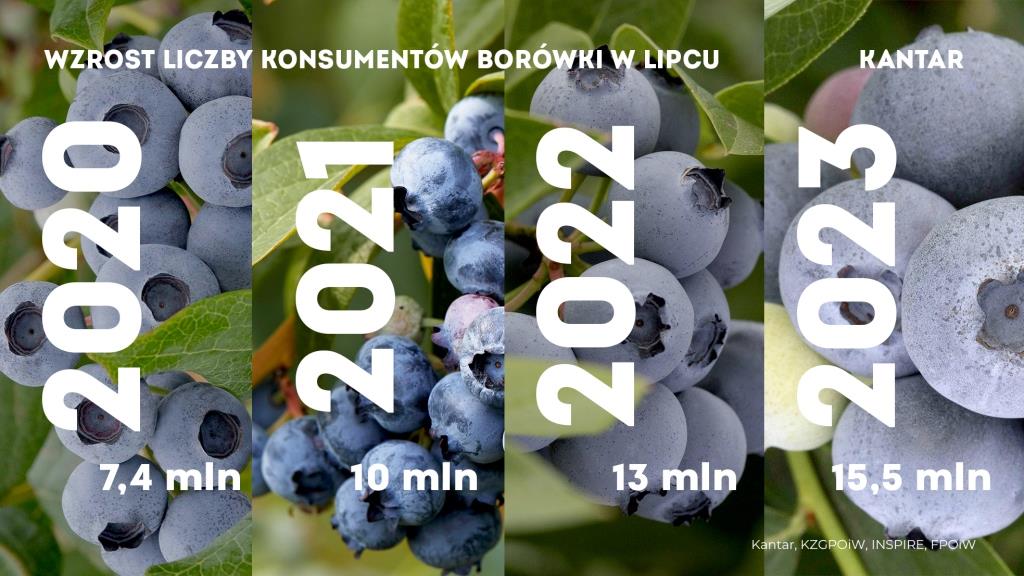 KANTAR_Konsumpcja_bor__wki__lipiec_2023__2_.jpg
