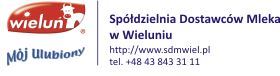wielun32a.jpg