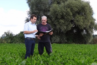 Südzucker earns certificate for sustainable beet cultivation in Europe