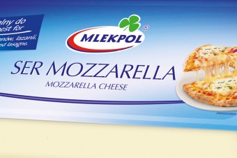 Mozzarella cheese block